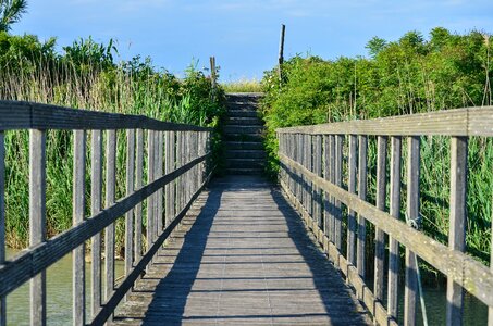 Boardwalk bridge wooden bridge