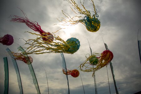 Wind festival decoration