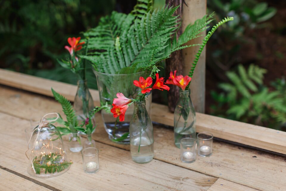 Flora wedding daisies