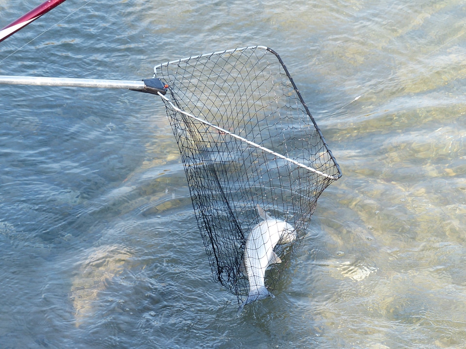 Caught water fisherman