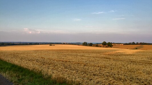 Field wheat field harvest photo