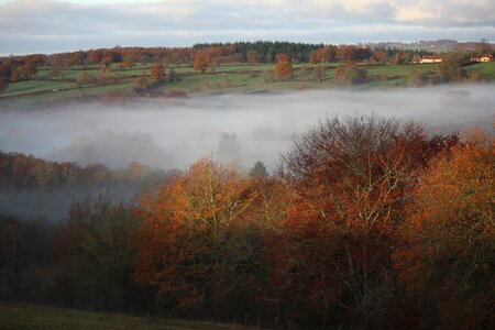 Fog morning panorama photo