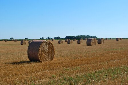 Agriculture landscape fields photo