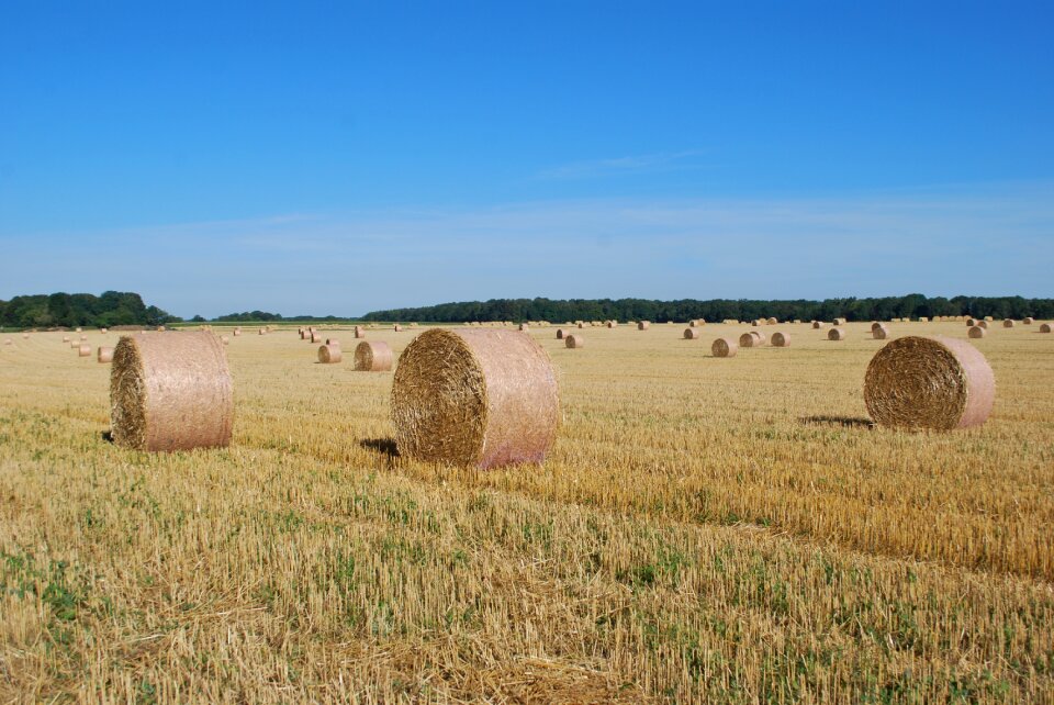 Agriculture landscape fields