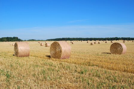 Agriculture landscape fields photo