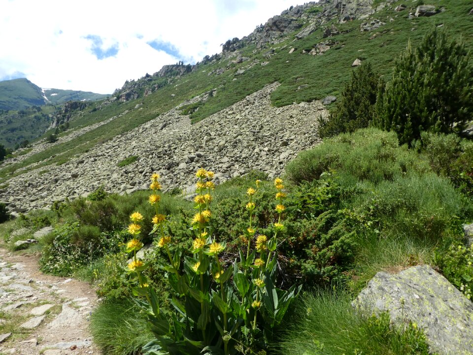 Mountain landscape andorra