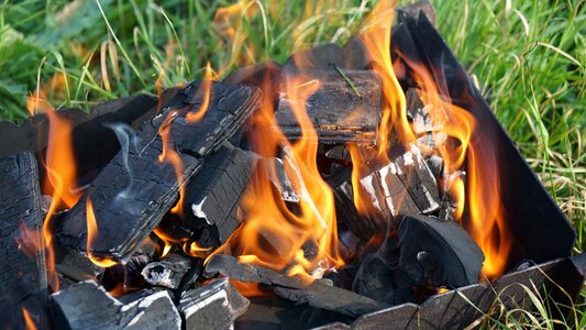 Firewood nature coals