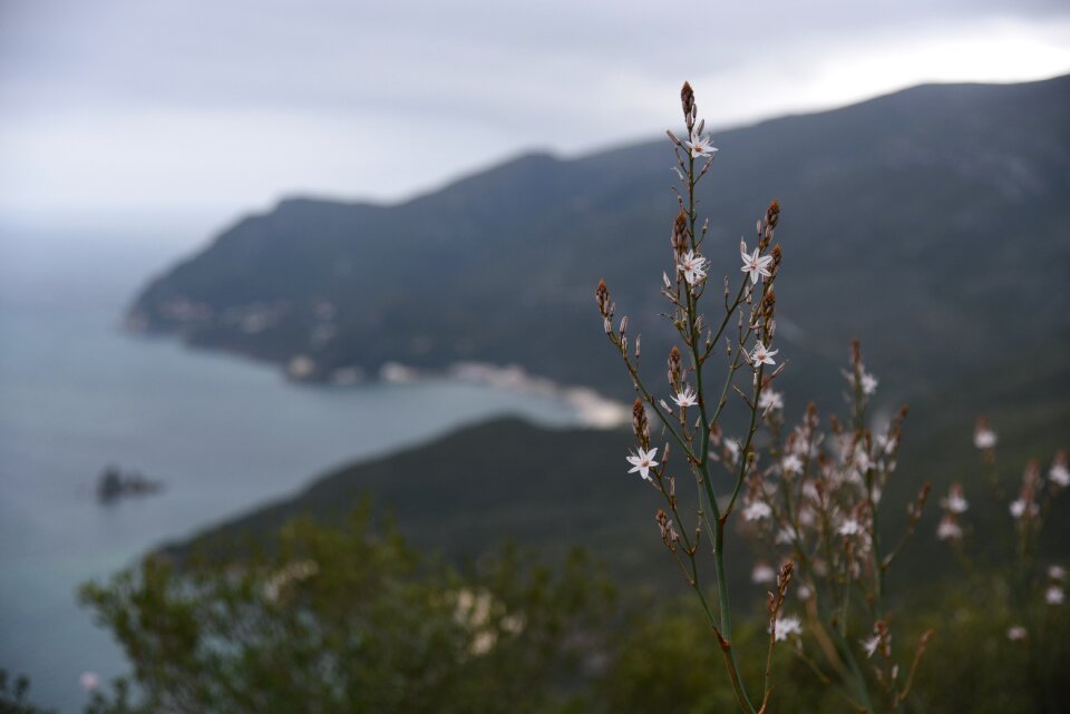 Sky landscape coast photo