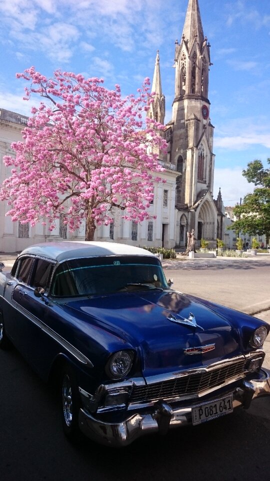 Oldtimer v8 havana