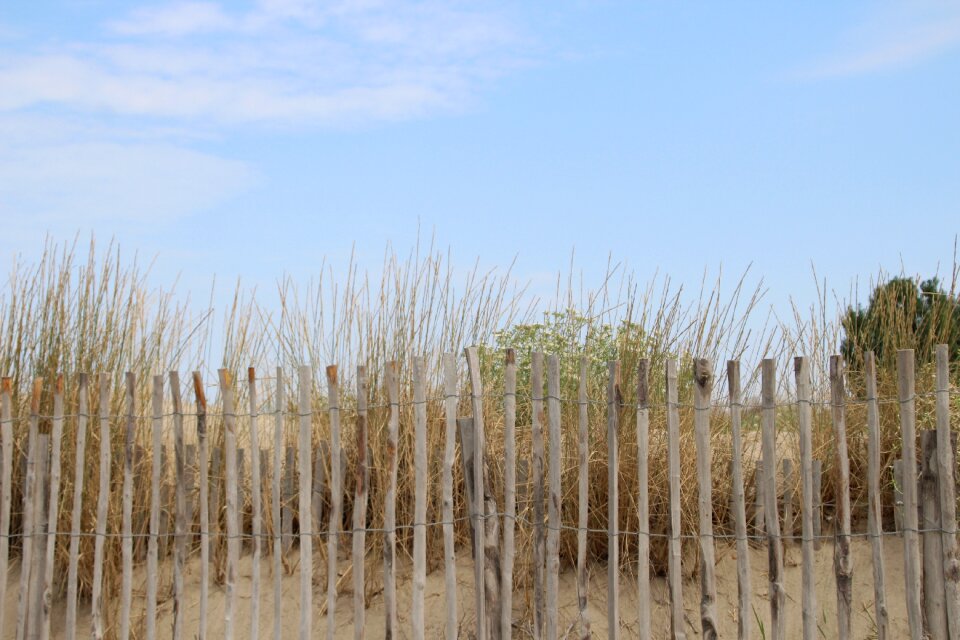 Dunes coast summer