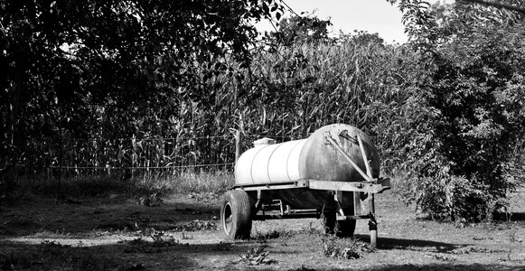 Animal watering hole livestock watering