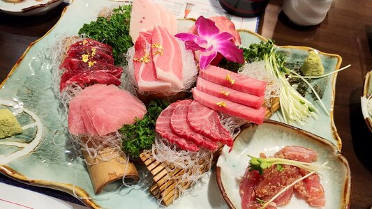 Fish time tuna party