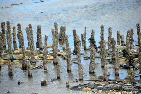 Bay of authie hauts de france resort