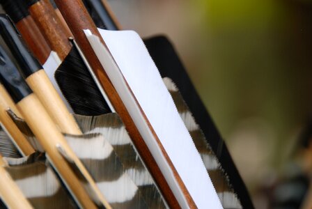 Hunt bow hunting instinctive archery