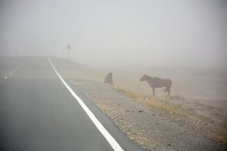 Mongolia gray storm photo
