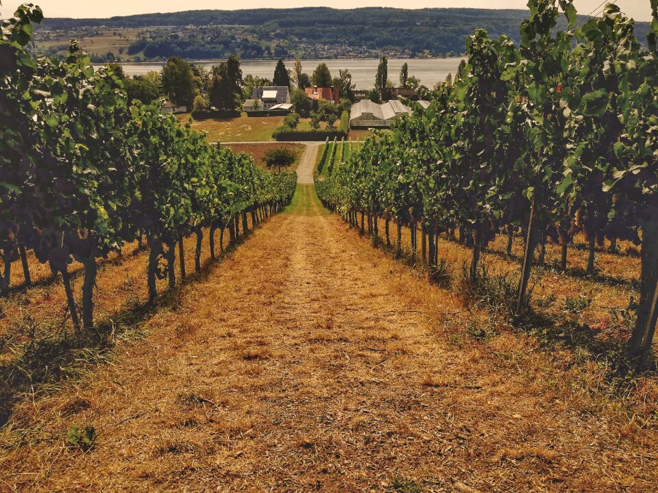 Hill scenic path