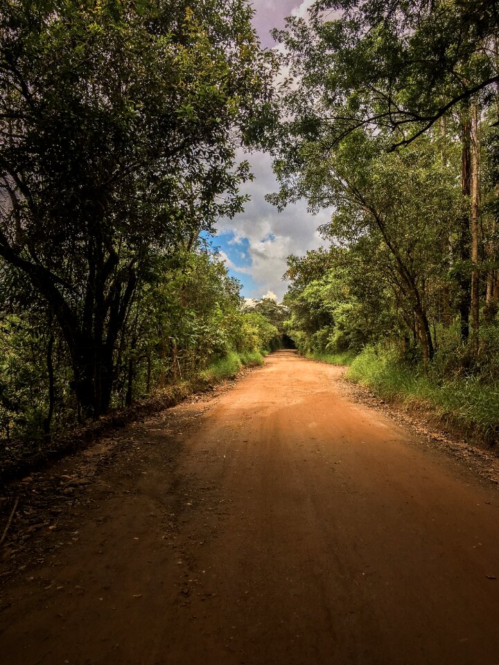 Nature rural path