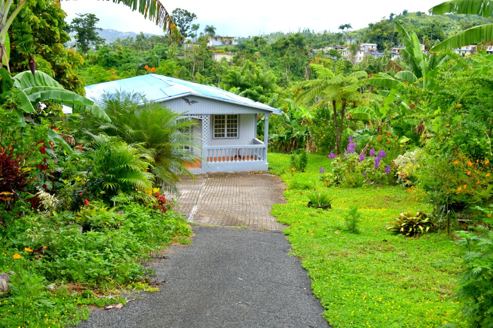 Pathway puerto rico colorful