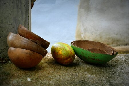 Plates old nature
