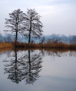 Water landscape lake