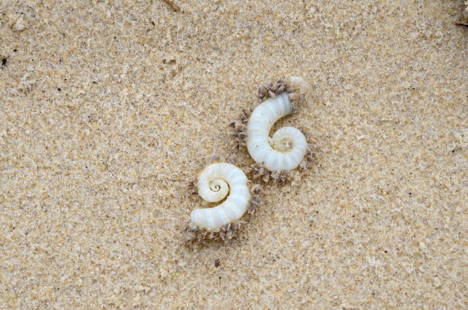 Beach sand