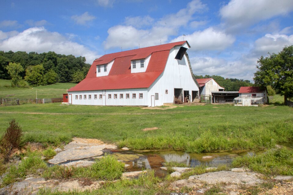 Countryside scenic summer