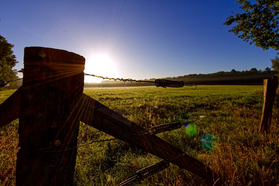 Pasture fence autumn fence