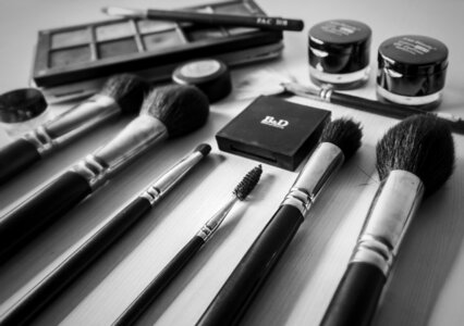 Makeup brush kit photo
