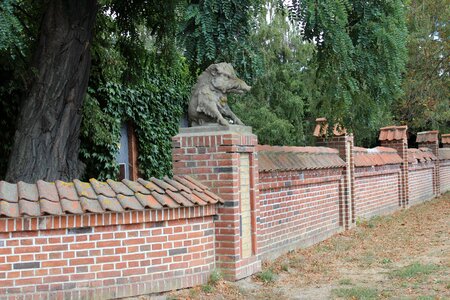 Pig statue art