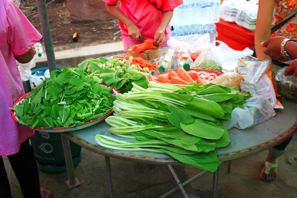 Vegetable country chinese kale