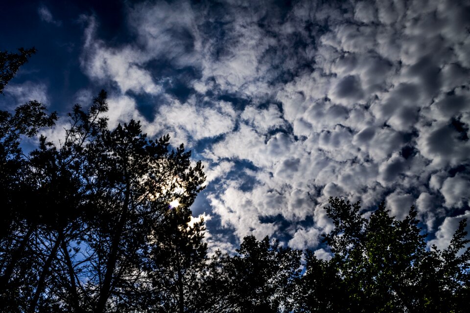 Nature mood atmosphere