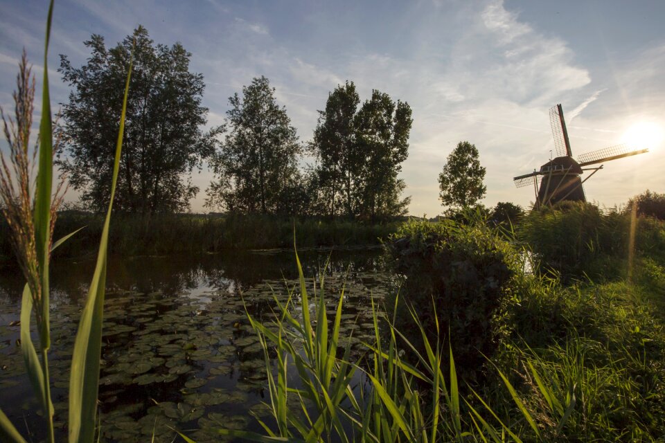 Nature landscape