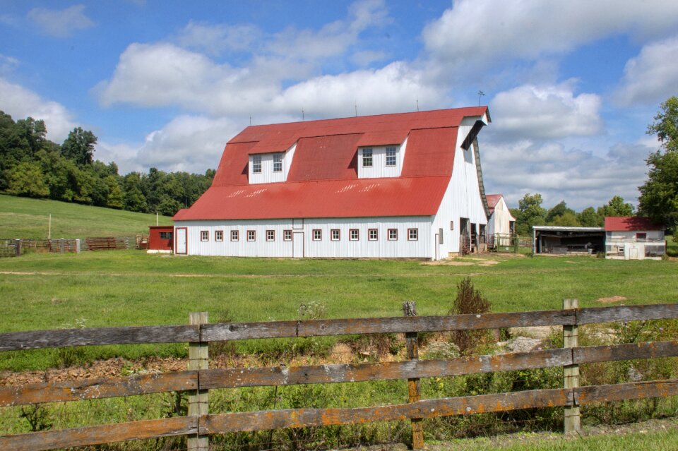 Countryside scenic summer
