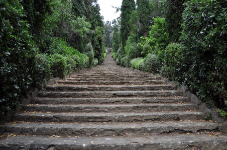 Park gradually stair step