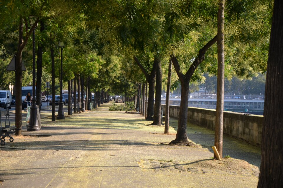 Romantic summer paris