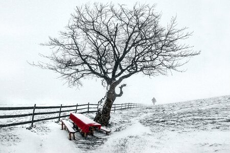 Winter desk
