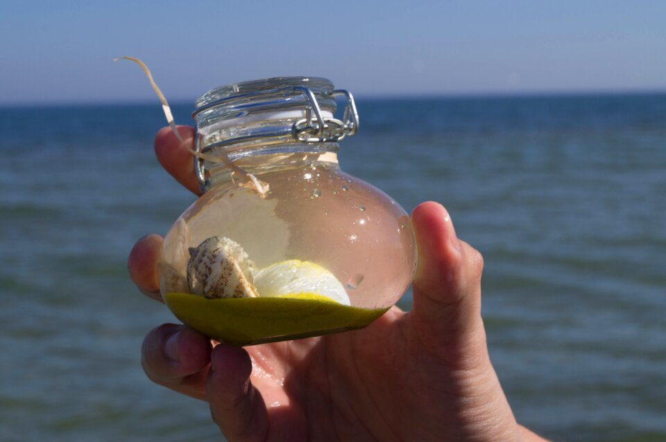 Scallop jar bottle