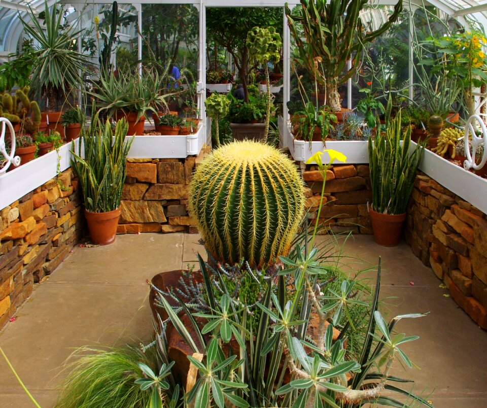 Greenhouse horticulture gardening