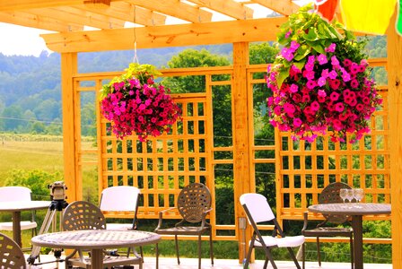 Wine summer decoration