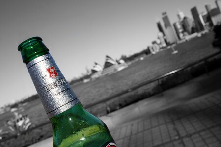 Beer black and white sydney photo