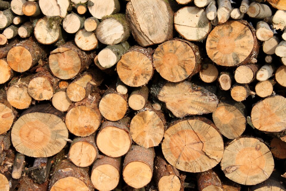 Wood pile holzstapel background image