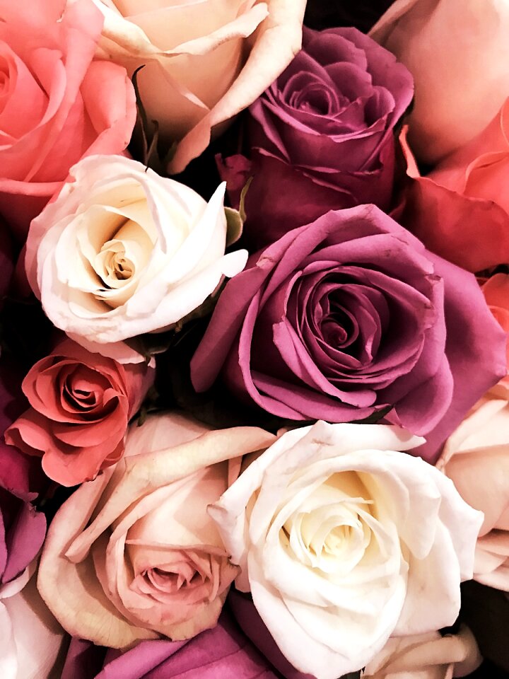 Rose roses wedding
