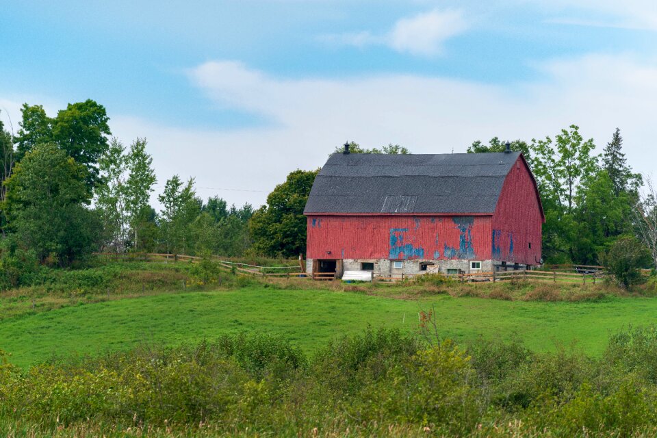 Farm landscape outdoors