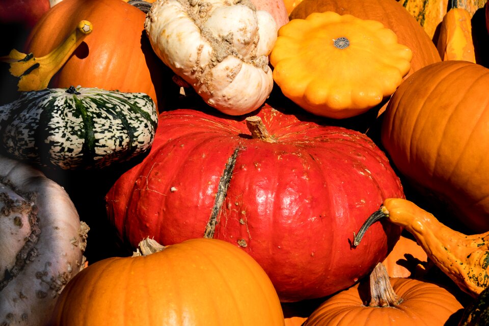Autumn harvest box
