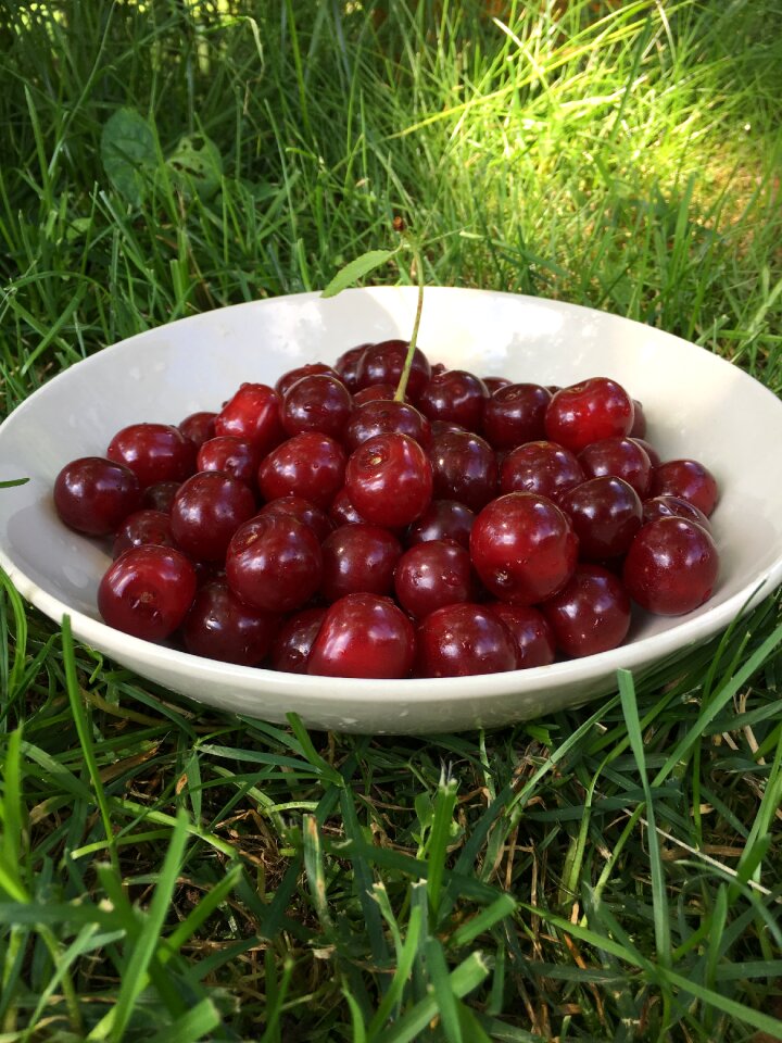 Vitamins harvest ripe