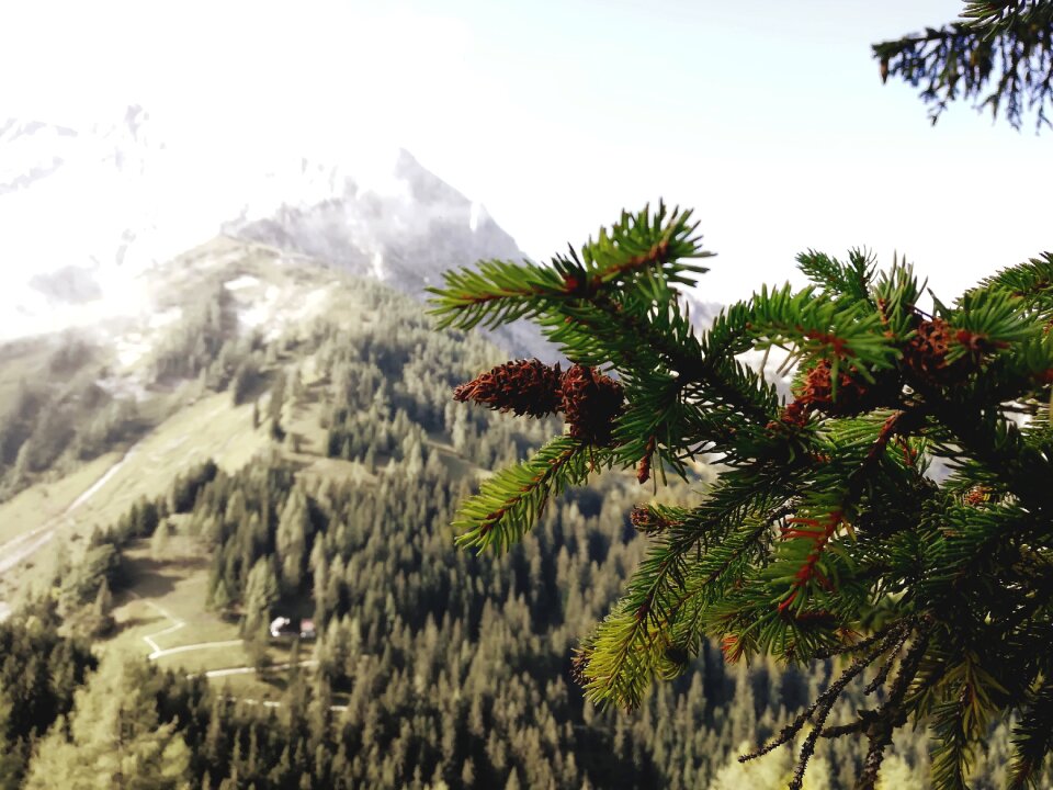 Landscape alpine panorama
