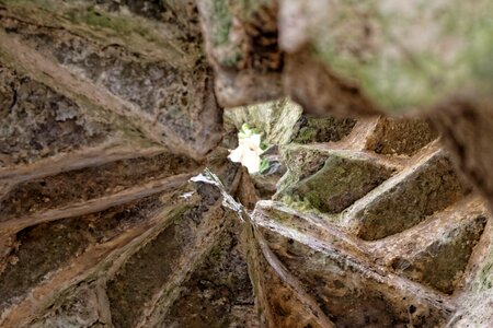 Wales spiral staircase photo