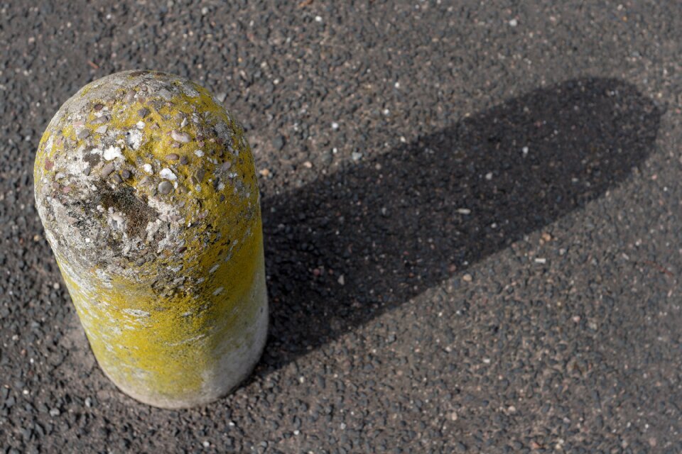 Lichen pavement footpath