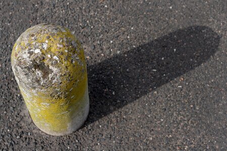 Lichen pavement footpath
