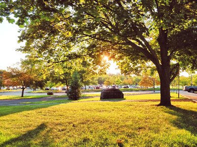 Golden yellow sunshine sunset photo